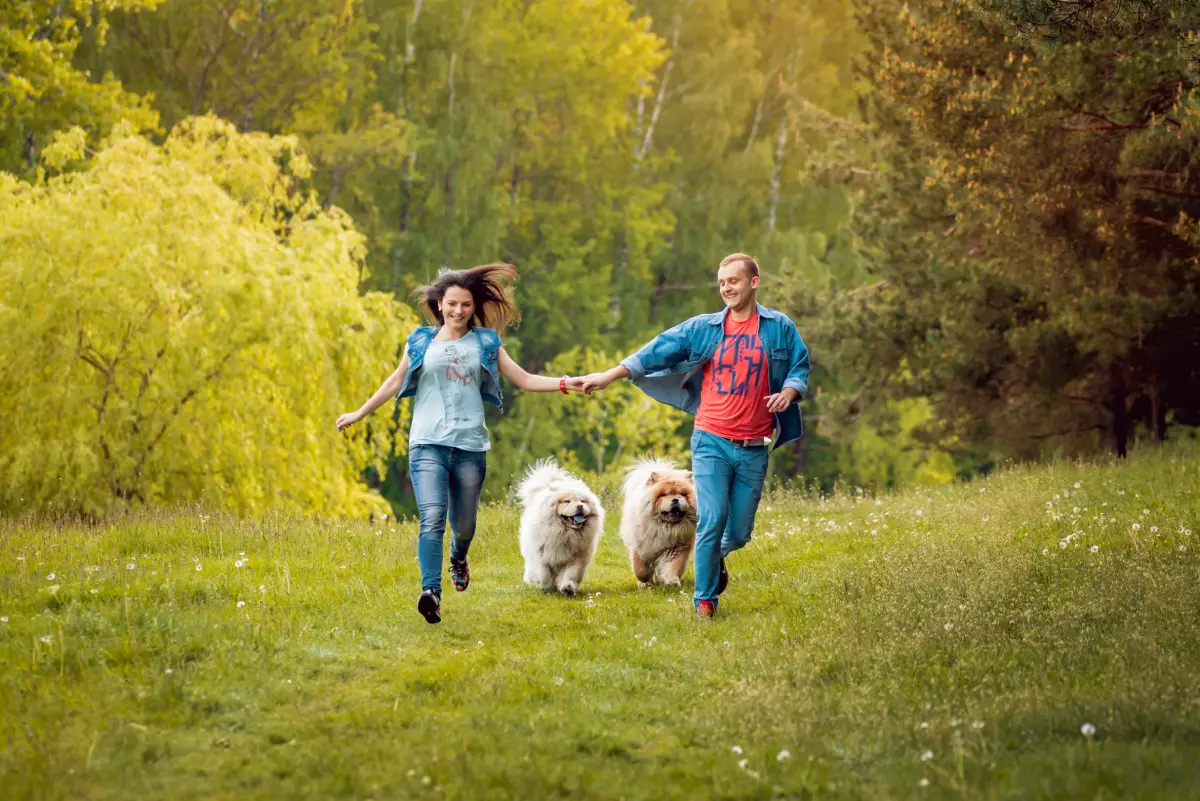 Pet-Friendly Vacation Rentals in Lake Havasu: Opportunity or Overhead?